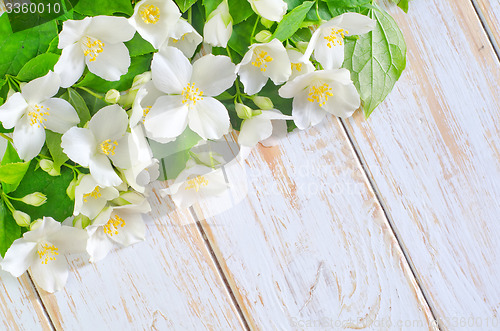 Image of jasmine spring flowers frame on white background