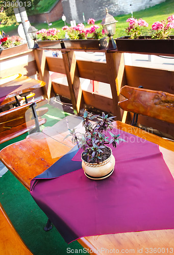 Image of Flowerpot with lilac flowers in outdoor cafe