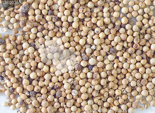 Image of white pepper