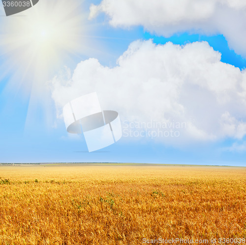 Image of field