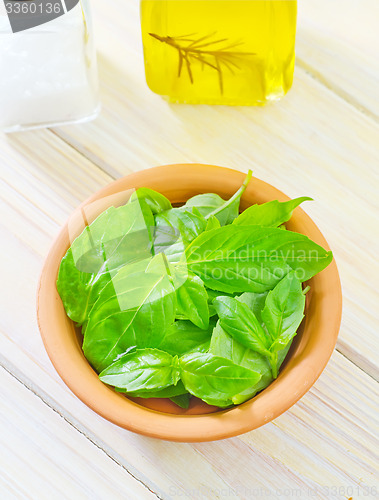 Image of fresh basil