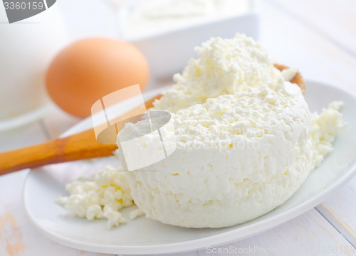 Image of Milk products, fresh cottage in the white plate