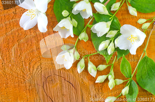 Image of jasmin on wooden background