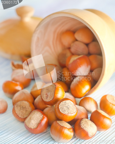 Image of hazelnuts