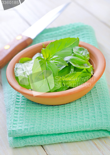 Image of fresh basil