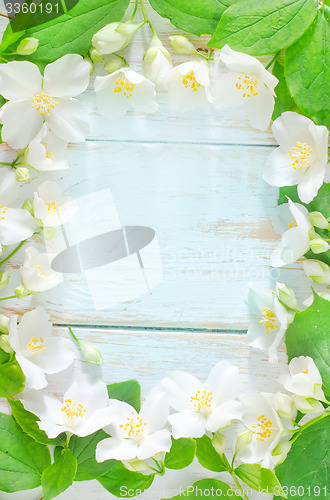 Image of jasmine spring flowers frame on white background