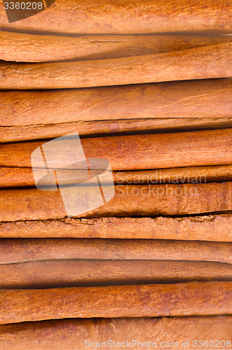 Image of cinnamon