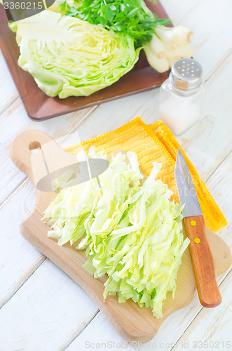 Image of cabbage