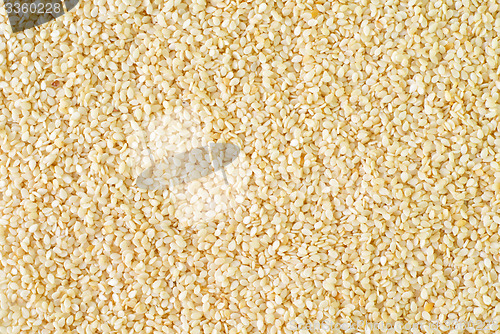 Image of white sesame