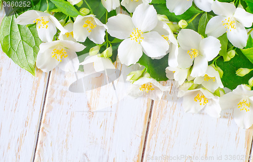 Image of jasmine spring flowers frame on white background