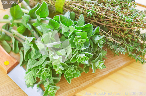 Image of oregano with thyme