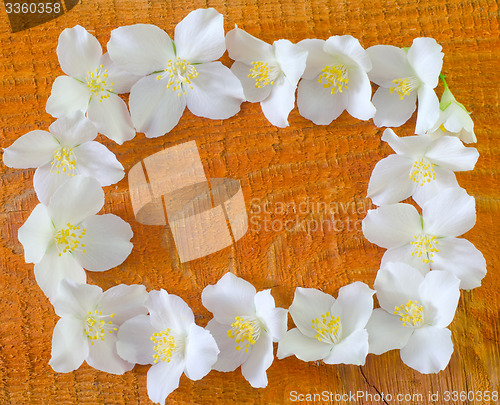 Image of jasmin on wooden background