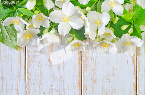 Image of jasmine spring flowers frame on white background