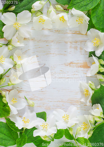 Image of jasmine spring flowers frame on white background