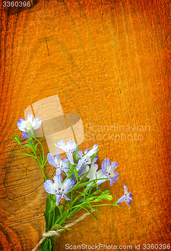 Image of flowers on wooden background