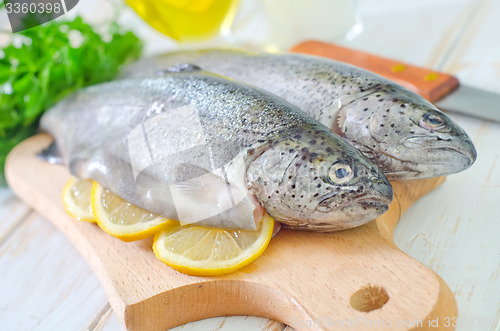 Image of raw fish