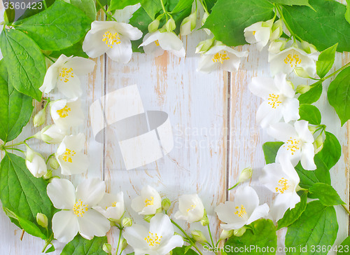 Image of jasmine spring flowers frame on white background