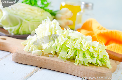 Image of cabbage
