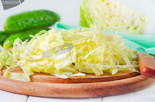 Image of cabbage