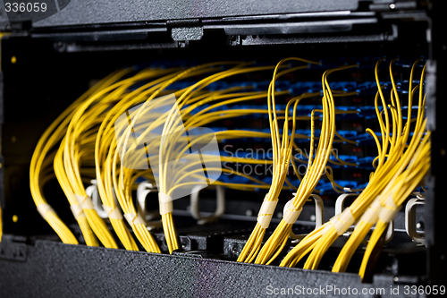 Image of Network cables