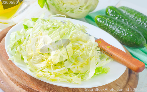 Image of cabbage