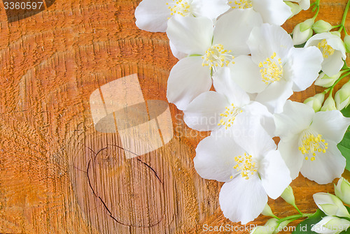 Image of jasmin on wooden background