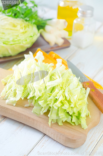 Image of cabbage