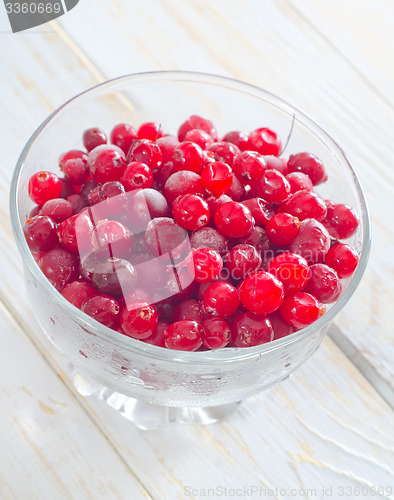 Image of frozen cranberry