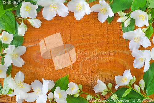 Image of jasmine spring flowers frame on white background