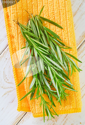 Image of rosemary