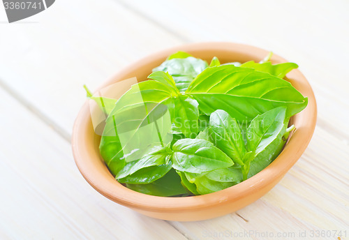 Image of fresh basil