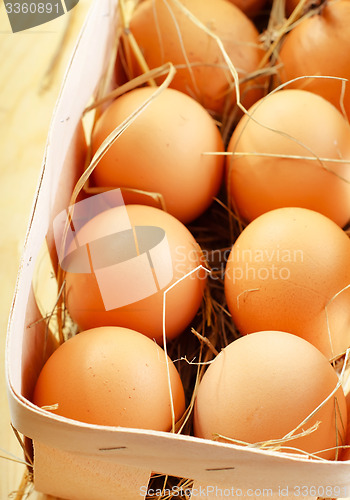 Image of raw eggs