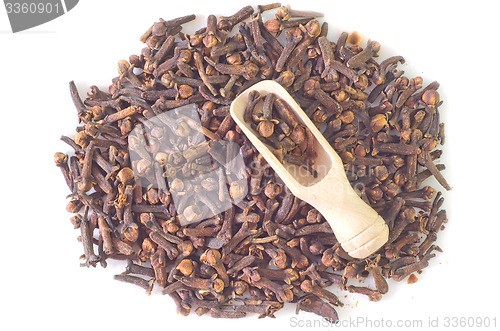 Image of clove