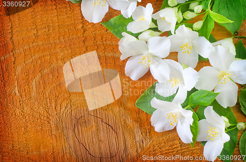 Image of jasmine spring flowers frame on white background