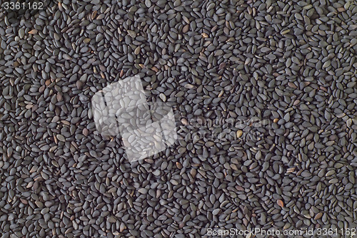 Image of black sesame