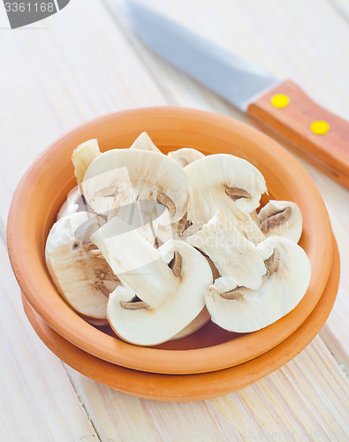Image of mushroom