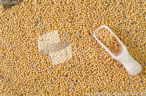 Image of mustard