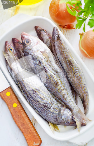 Image of fresh fish