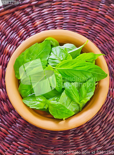 Image of fresh basil