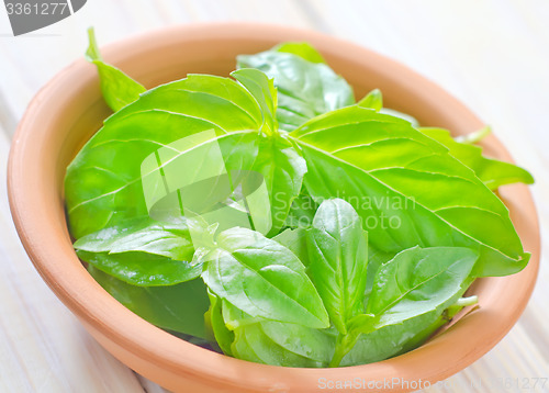 Image of fresh basil