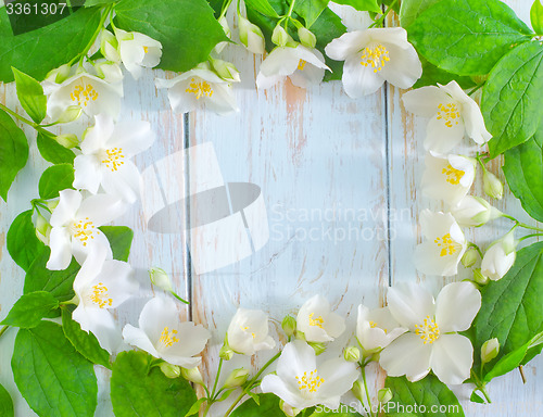 Image of jasmine spring flowers frame on white background