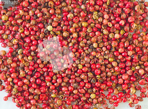 Image of chili peppers