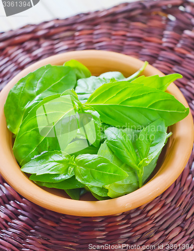 Image of fresh basil