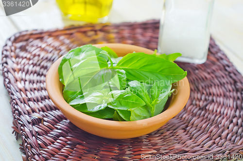 Image of fresh basil