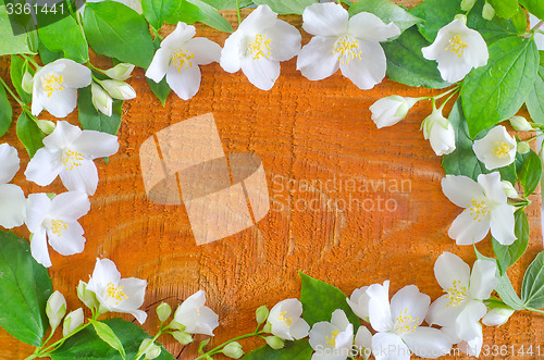 Image of jasmine spring flowers frame on white background