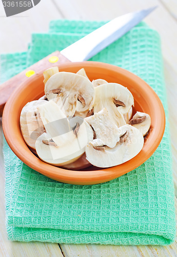 Image of mushroom