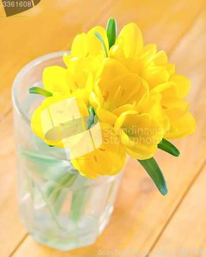 Image of yellow flowers