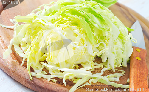 Image of cabbage