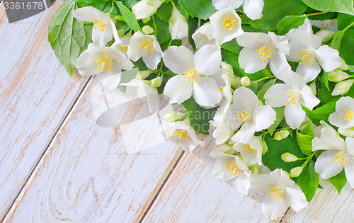 Image of jasmine spring flowers frame on white background