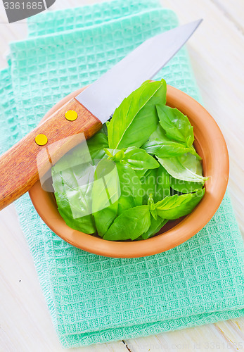 Image of fresh basil